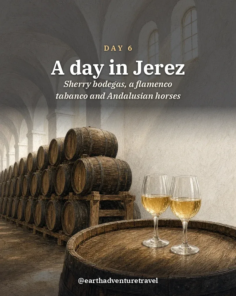 Illustrated day card: Sherry bodegas, a flamenco tabanco and Andalusian horses