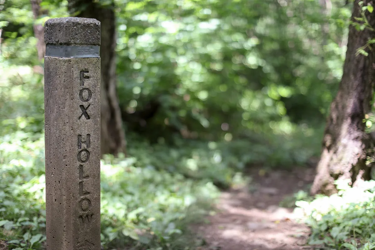 A weathered concrete trail post stamped Fox Hollow beside a leafy forest path near Dickey Ridge