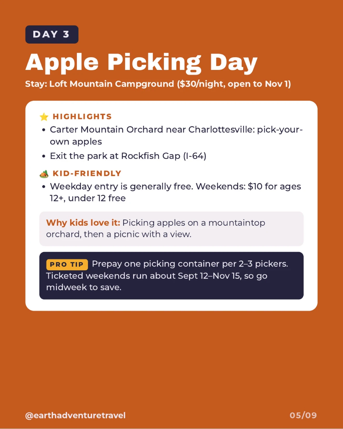 Apple picking at a mountain orchard near Charlottesville