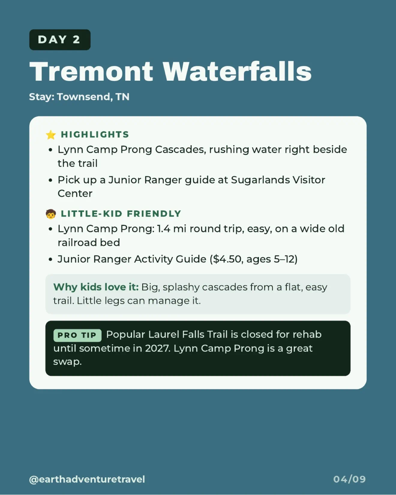 Lynn Camp Prong cascades beside the wooded Tremont trail