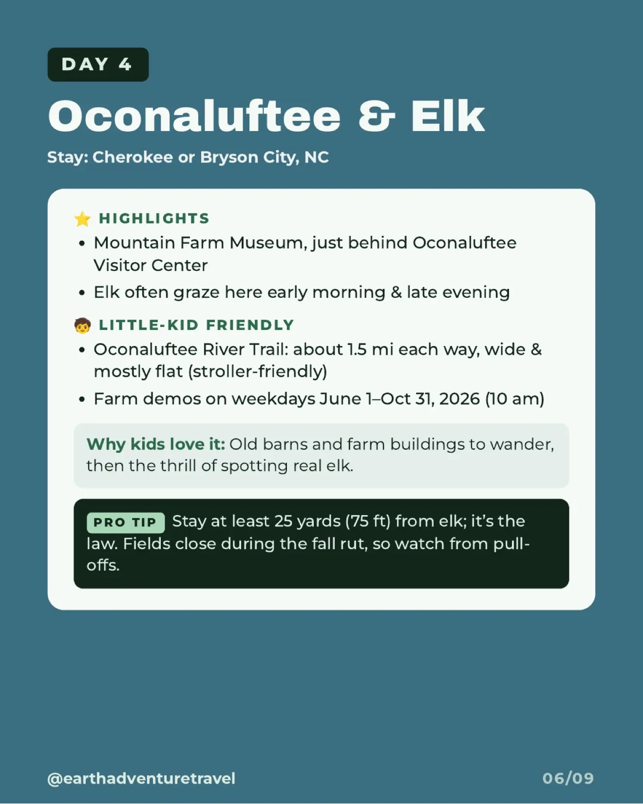 Historic farm buildings and an elk near Oconaluftee