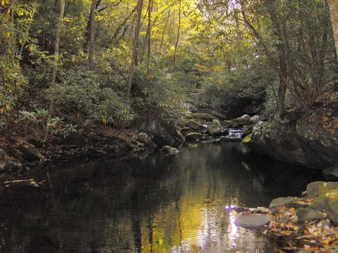 A cascade on Lynn Camp Prong spilling over a rock ledge