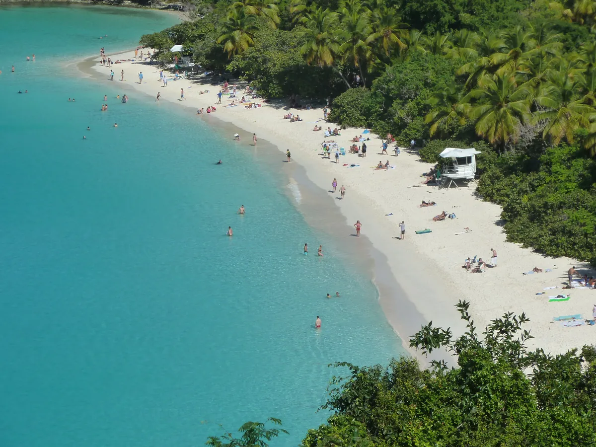 Trunk Bay seen from the overlook on North Shore Road, a curve of white sand and turquoise water below green hills