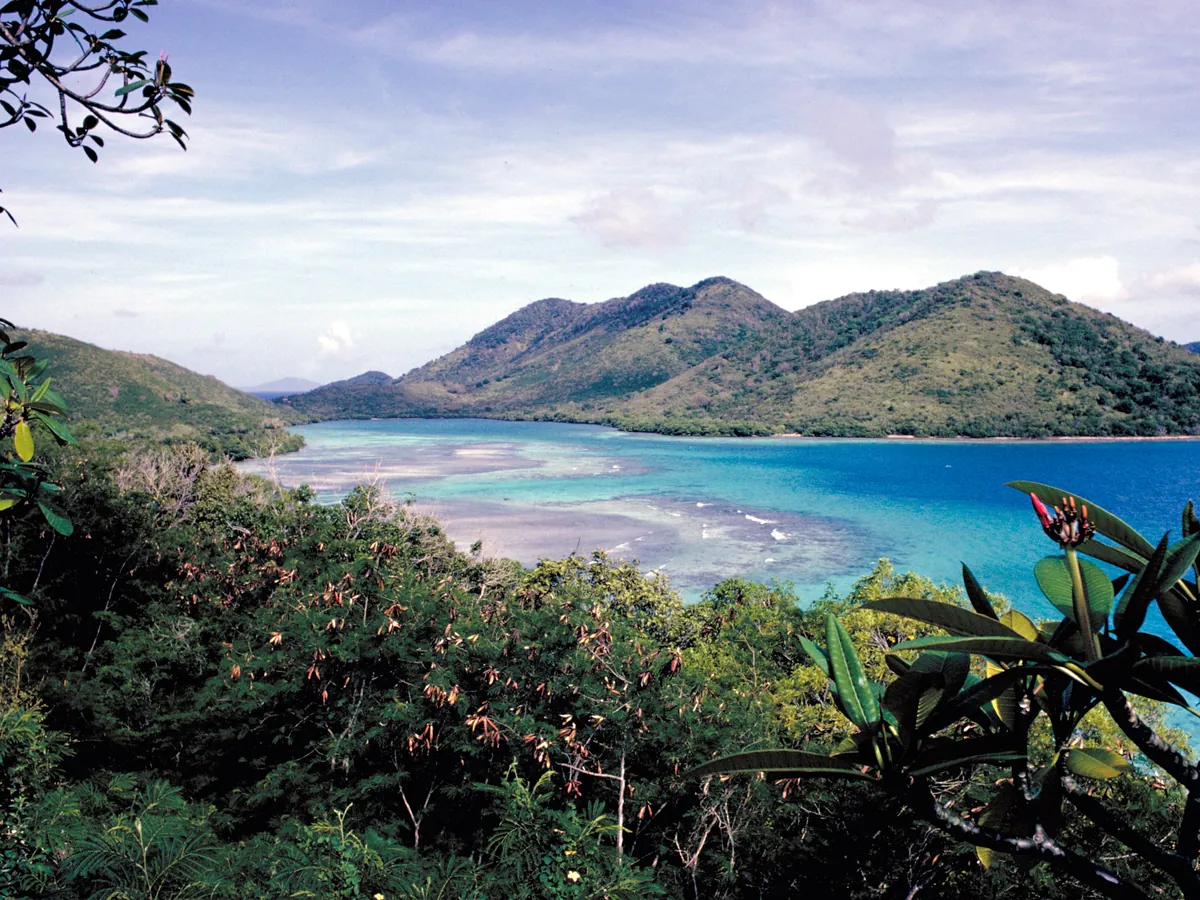 A wide view over Virgin Islands National Park, green hills and sea grape above a bay with a reef showing through clear water