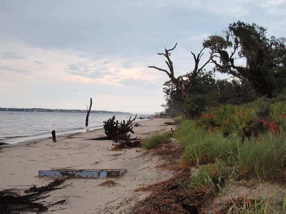 Driftwood Beach on Jekyll Island