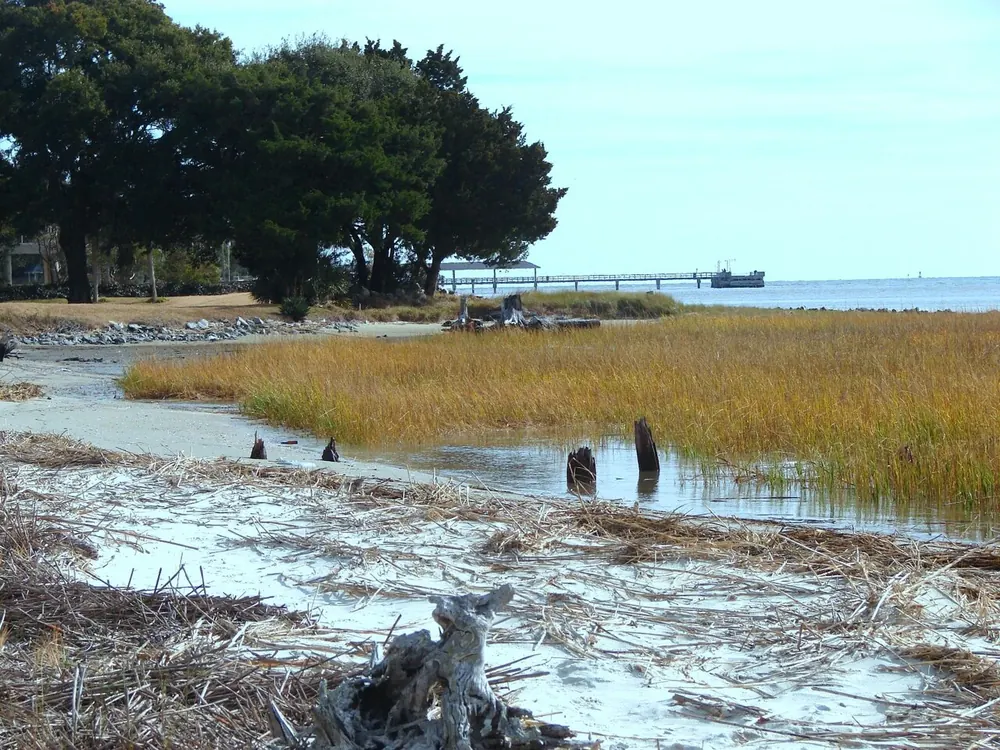 The southwestern tip of St. Simons Island: golden marsh, sand, and the fishing pier on the horizon