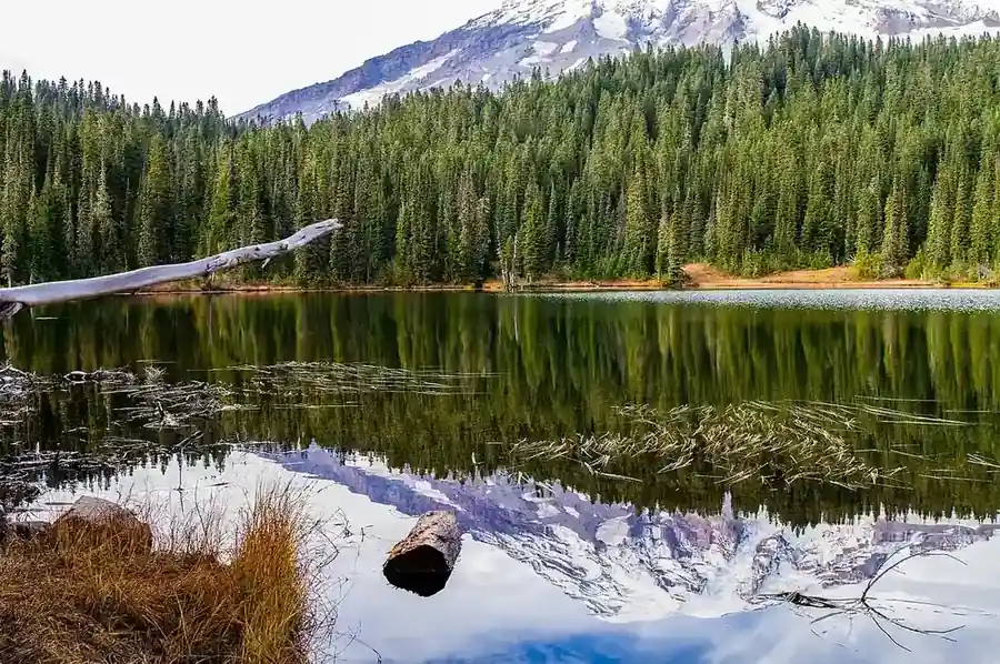 Mount Rainier reflected in Reflection Lake