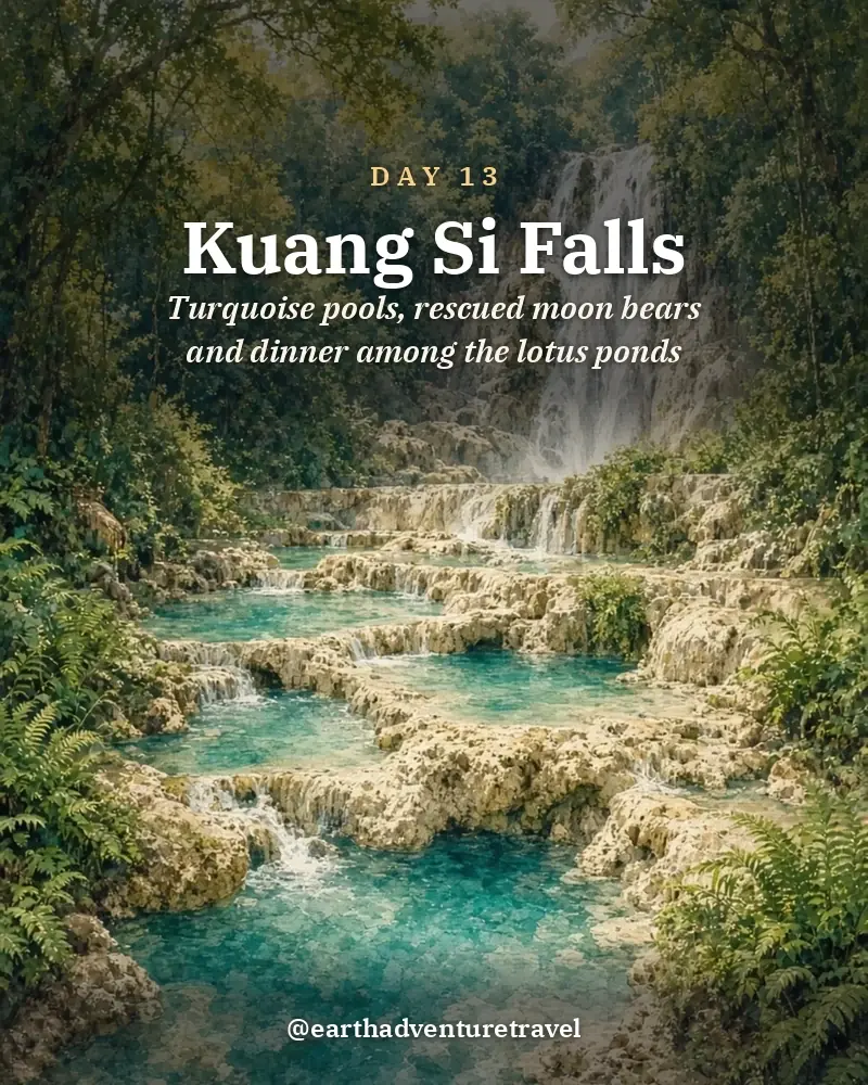 Illustrated day card: Turquoise pools, rescued moon bears and dinner among the lotus ponds