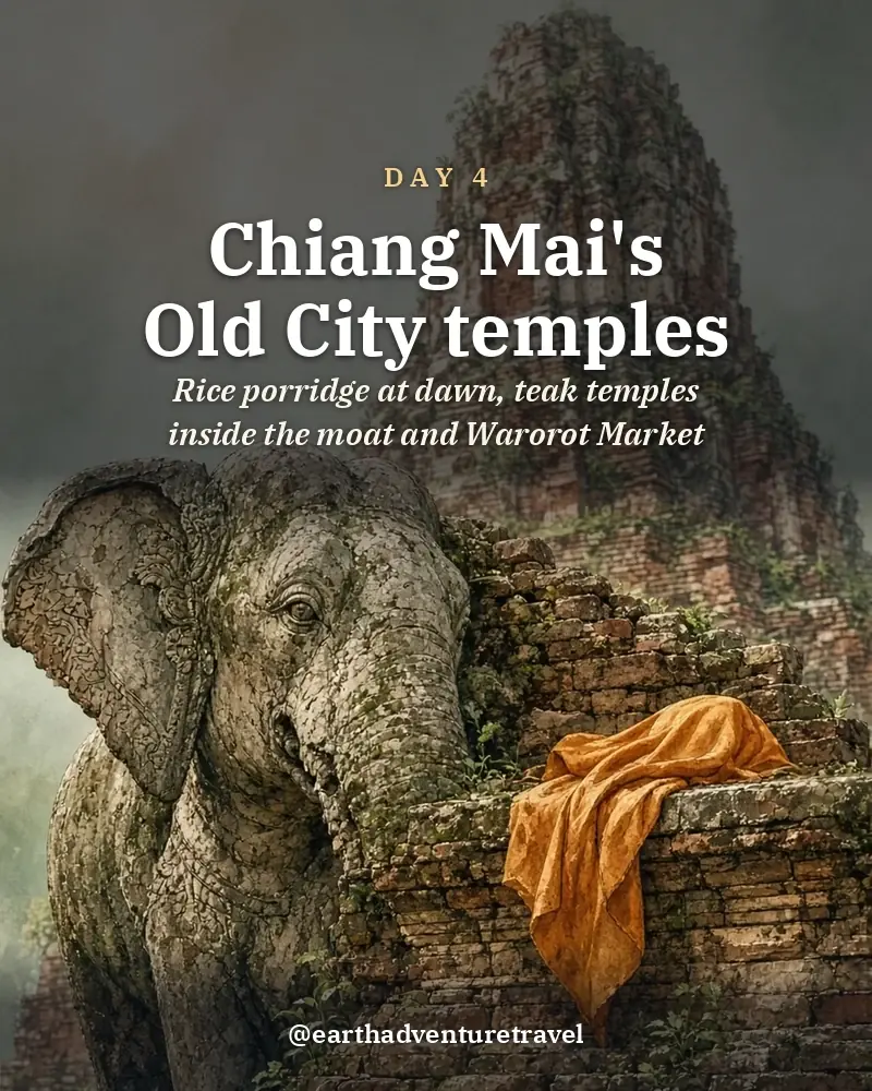 Illustrated day card: Rice porridge at dawn, teak temples inside the moat and Warorot Market