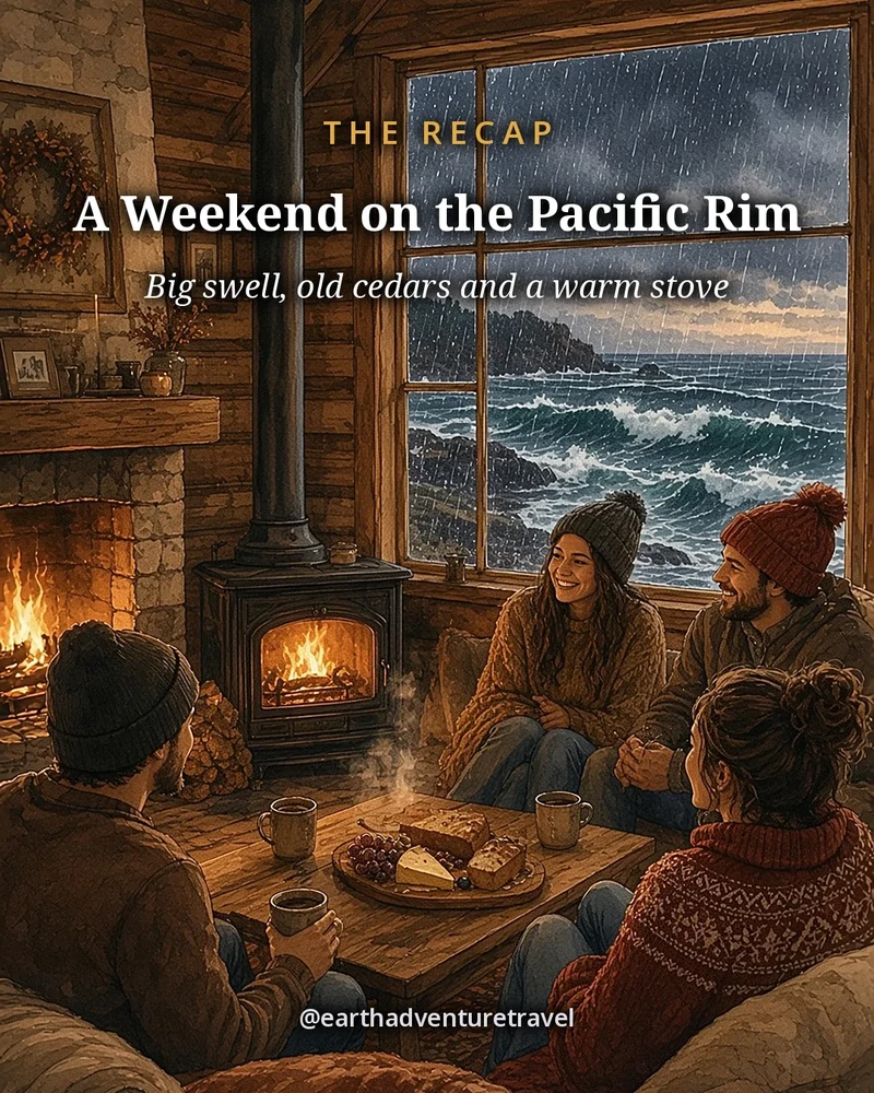 Illustration: Cathedral Grove, Long Beach and Chesterman Beach under a winter sky, original illustrated recap card