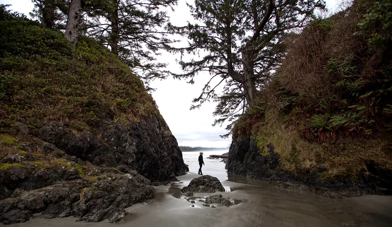 Long Beach in Pacific Rim National Park Reserve, surf rolling onto a long curve of sand