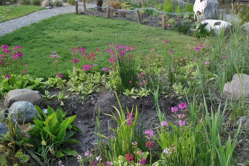 Naa’Waya’Sum Gardens in Tofino, paths through rainforest gardens