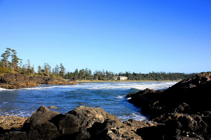 Dark rocks and white surf at Cox Bay near Tofino, with tall conifers along the far shore