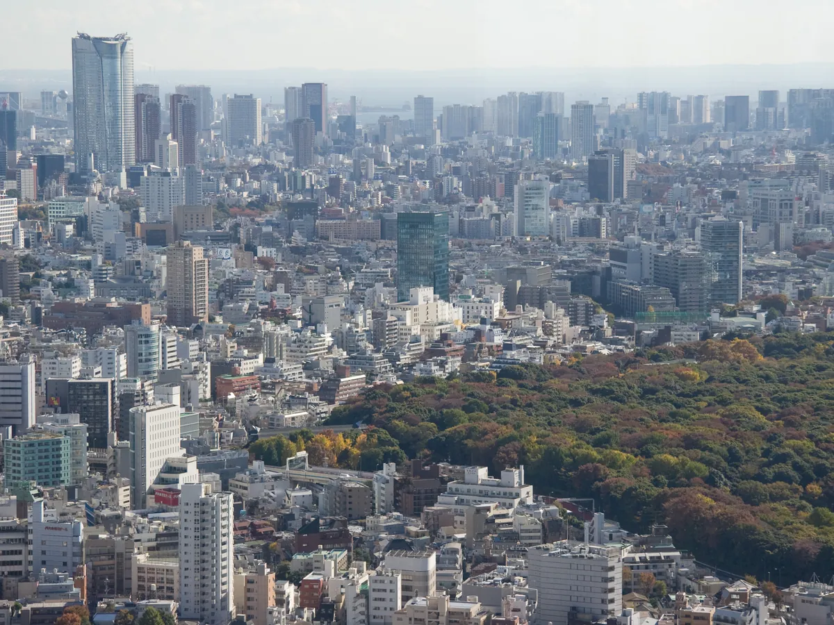 A wide view over Tokyo from the Metropolitan Government observatory, dense low buildings and towers stretching to the horizon with the woods of Yoyogi Park