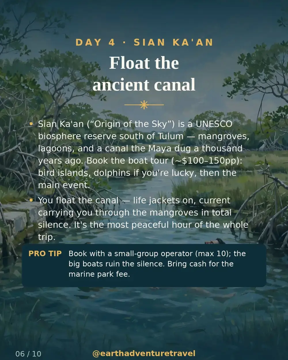 Illustrated day 4: floating the Sian Ka'an canal
