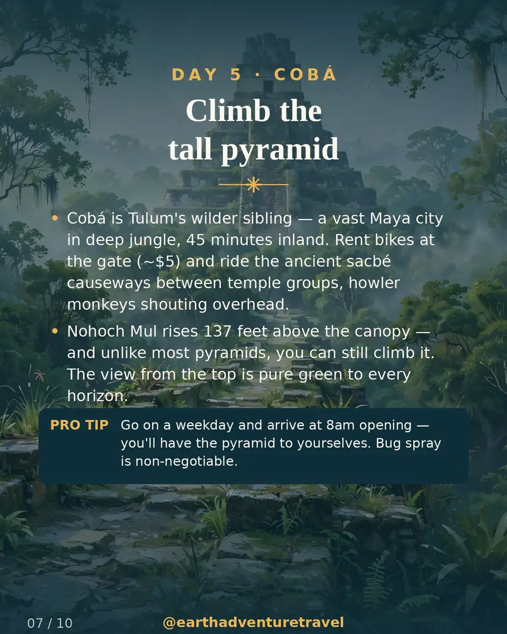 Illustrated day 5: Nohoch Mul pyramid above the jungle