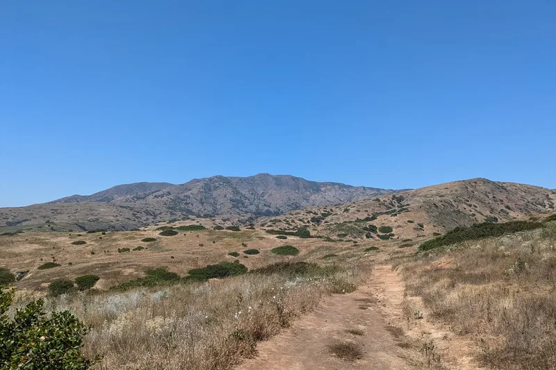 The steep green hills and cliffs of Santa Cruz Island above the sea