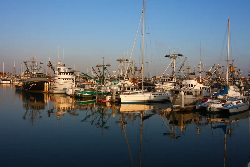 Small boats moored in rows in Ventura Harbor on a calm day