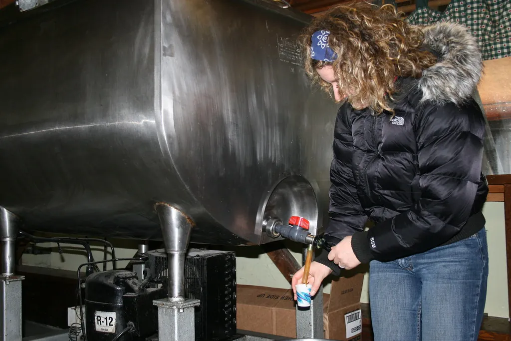 Sampling fresh cider at Cold Hollow Cider Mill in Waterbury Center, Vermont