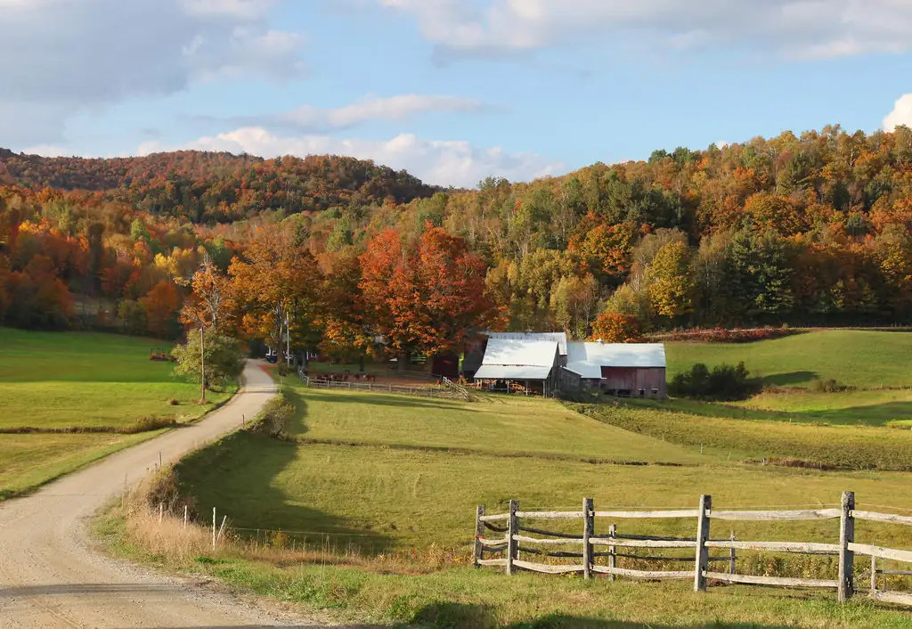 Jenne Farm in Reading, Vermont, surrounded by brilliant peak fall foliage
