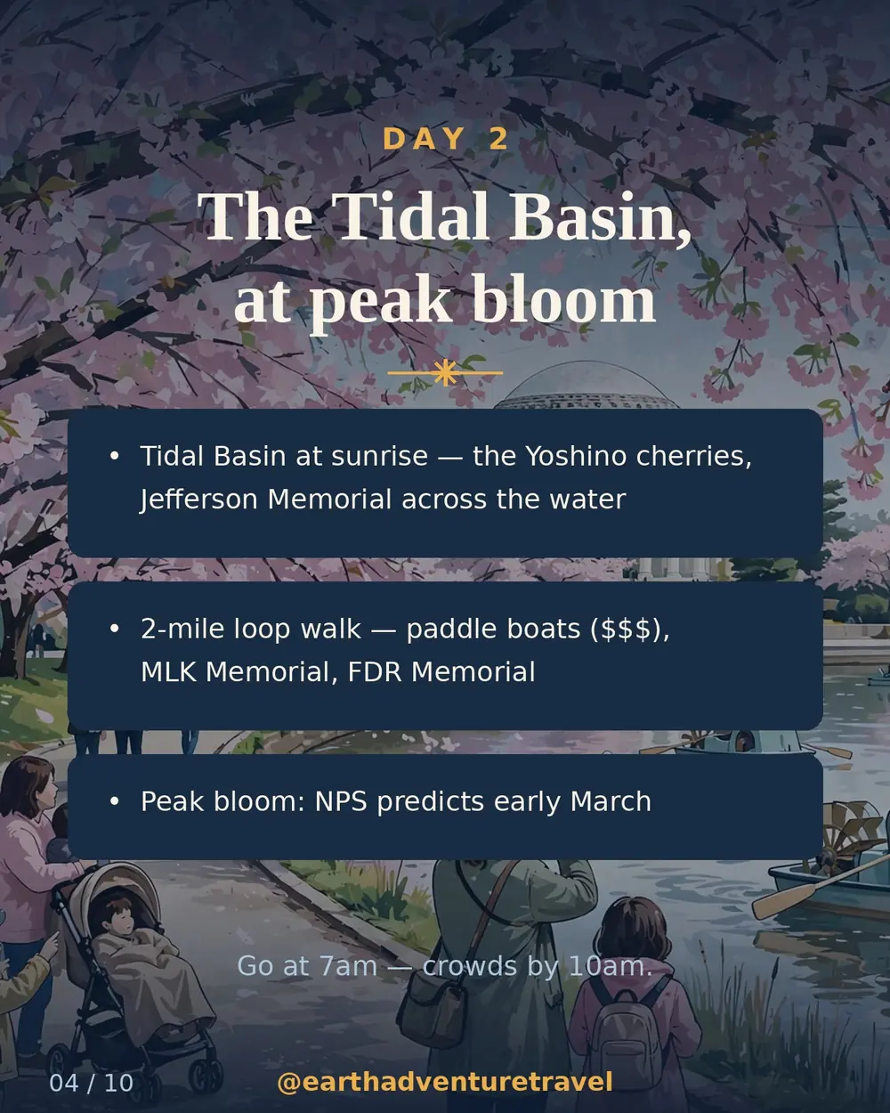 Illustrated Tidal Basin blossoms