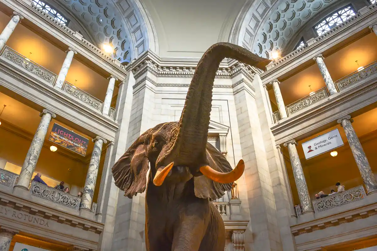 Smithsonian National Museum of Natural History
