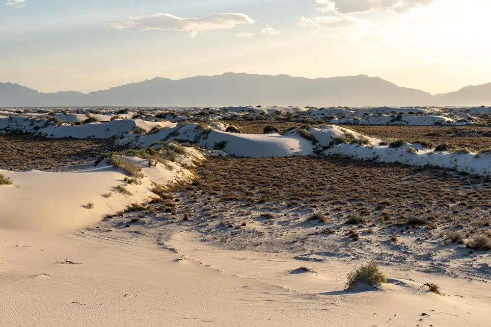 White gypsum dunes with the San Andres Mountains behind, White Sands National Park