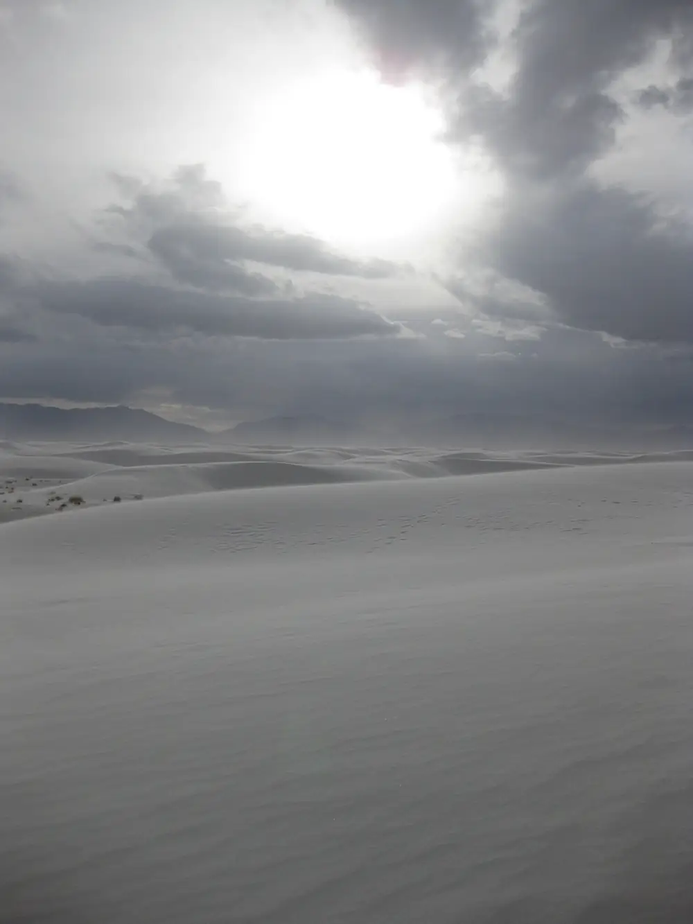 The Alkali Flat dunefield in winter with the San Andres Mountains