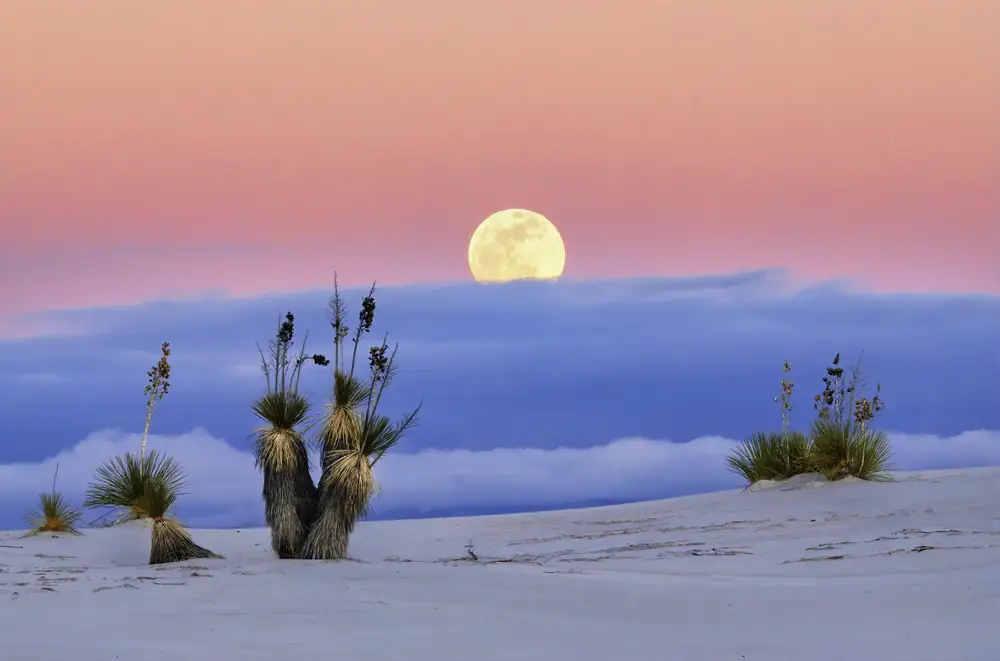 Moonrise over the White Sands dunes