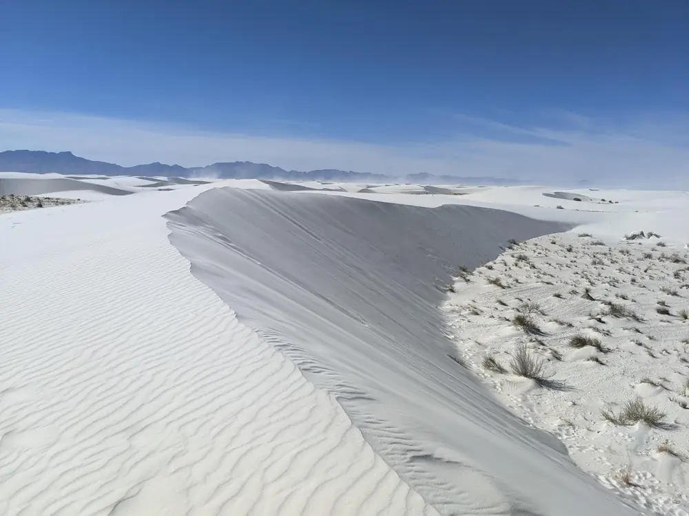 Wind ripples on a White Sands dune