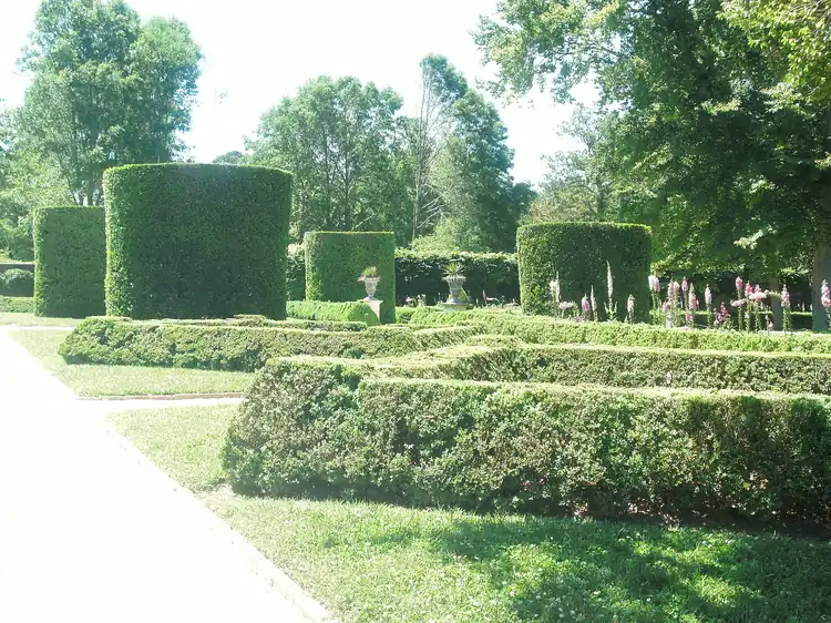 The Governor's Palace topiary gardens