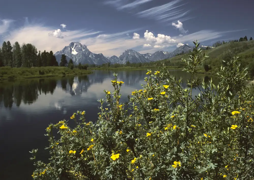 Snake River with Tetons