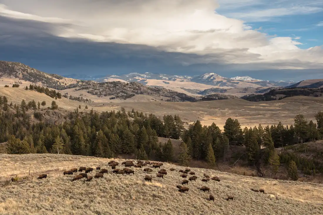 Storm front over a Yellowstone valley